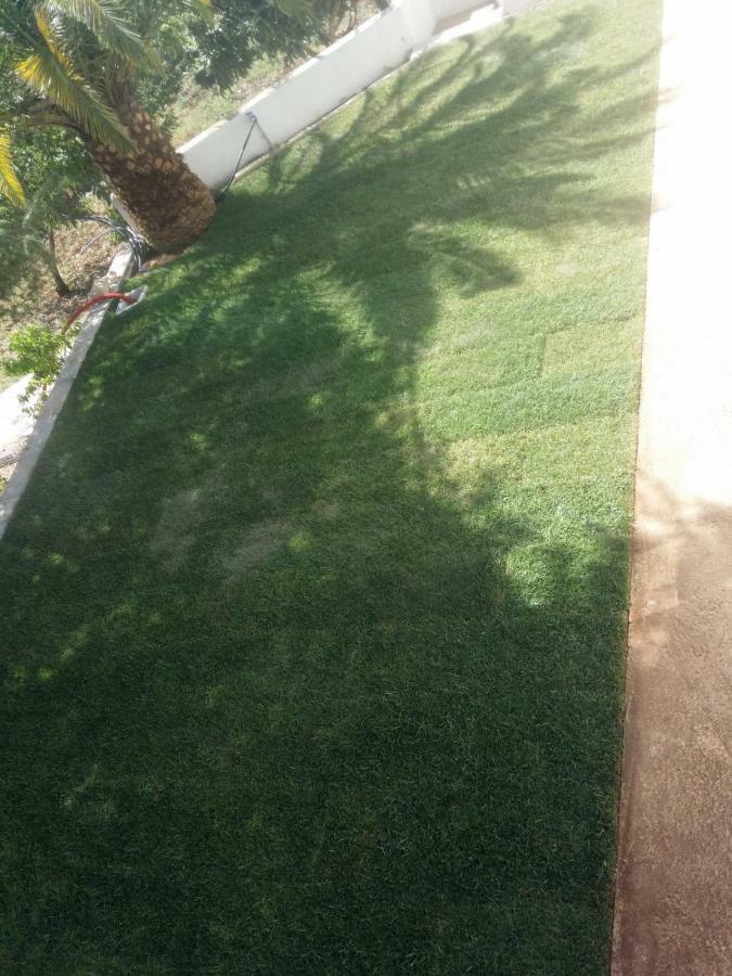 فيلا Dea بوتينيانو المظهر الخارجي الصورة